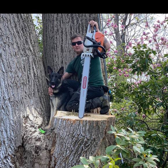 Meet your Posher, Andy - Picture 1 of 1